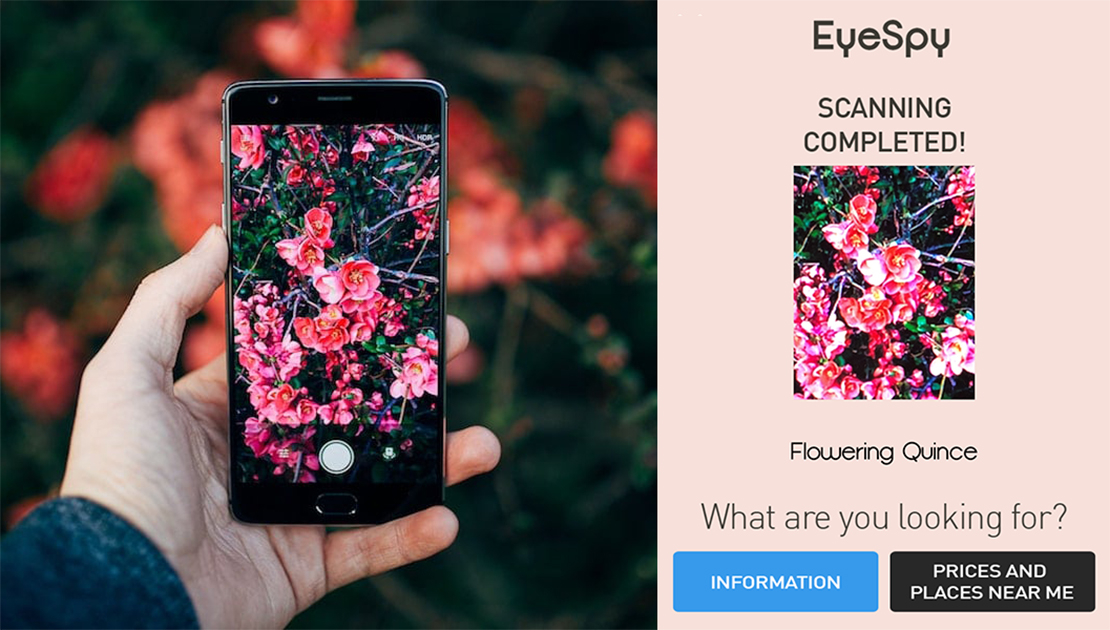 The “Shazam for Things” Is A Free App That Identifies Plants, Animals
